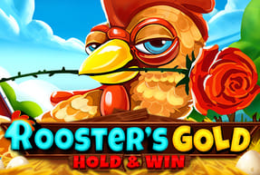 Rooster's gold: hold & win thumbnail